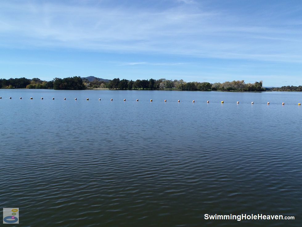 Swimming in Lake Burley Griffin at Weston Park