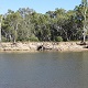 Swimming Hole Heaven - River Murray at Hennessy Beach, Tocumwal