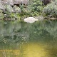 Swimming Hole Heaven - Lake Eckersley Campground