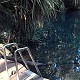 Swimming Hole Heaven - Berry Springs near Darwin