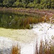 Swimming Hole Heaven - Basin Lake, Kgari