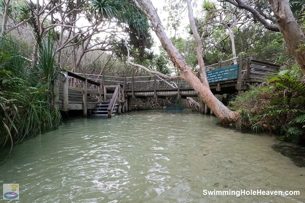 Swimming in Eli Creek, Kgari