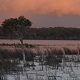 Swimming Hole Heaven - Lake Boomanjin, Kgari