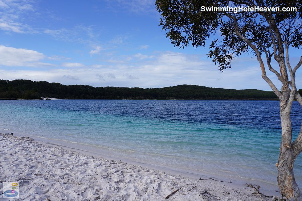 Swimming at Lake McKenzie, Kgari