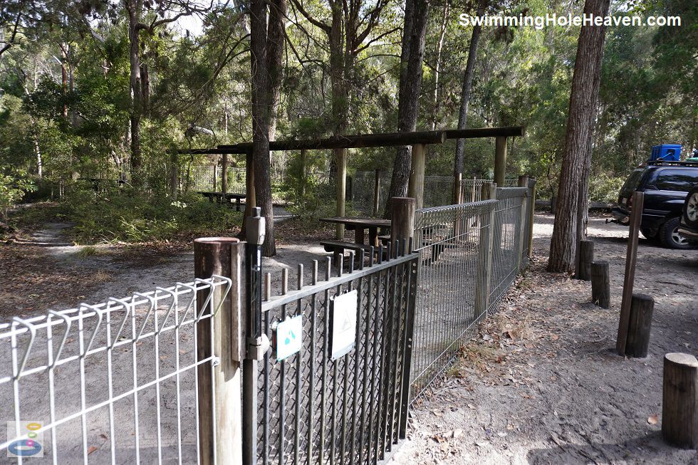 Swimming at Lake McKenzie, Kgari