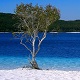 Swimming Hole Heaven - Lake McKenzie, Fraser Island