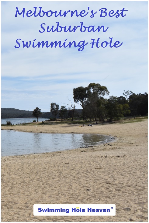 Melbourne's Best Suburban Swimming Hole