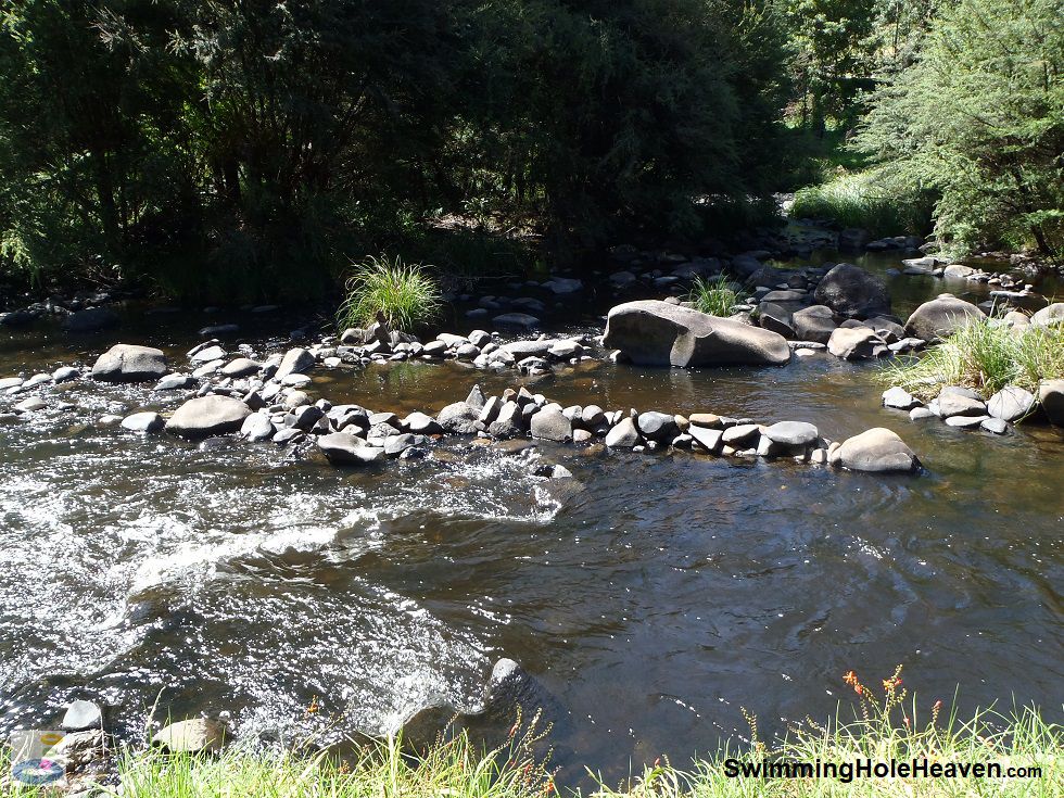 A swimming hole in the Goldilocks Zone of the Yarra River