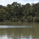 Swimming Hole Heaven - Blackburn Lake, Melbourne