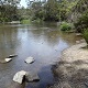 Swimming Hole Heaven - Yarra River at Bourchiers Road