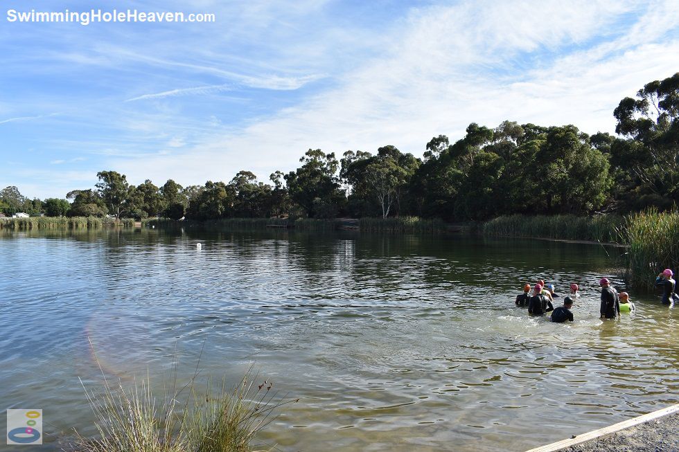 Swimming in Lake Esmond, Ballarat