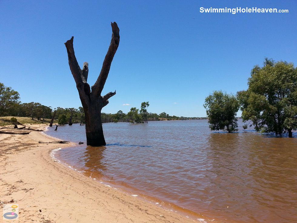 Swimming in Lake Lonsdale near Stawell and the Grampians